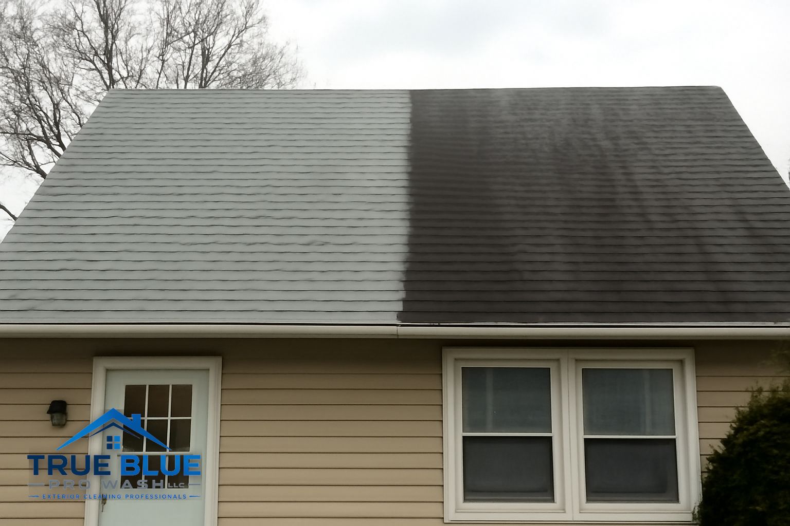 Clean asphalt shingle roof after professional soft washing on a home in Wilmington DE 19810