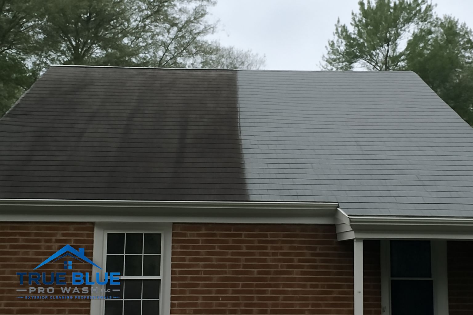 Black algae streaks on a residential asphalt shingle roof in Wilmington, Delaware