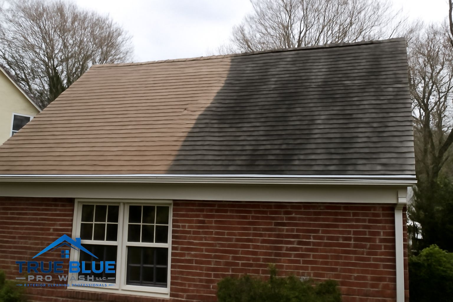 Clean asphalt shingle roof after soft washing treatment on a Wilmington, DE home