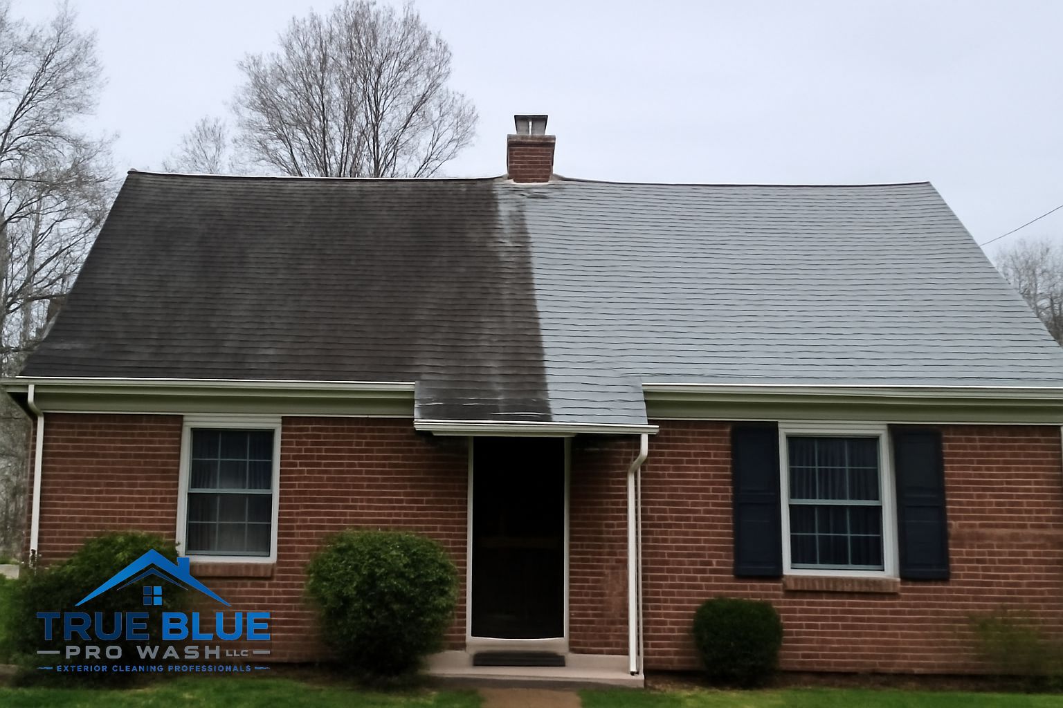 Black Gloeocapsa magma algae streaks on an asphalt shingle roof in Wilmington, Delaware