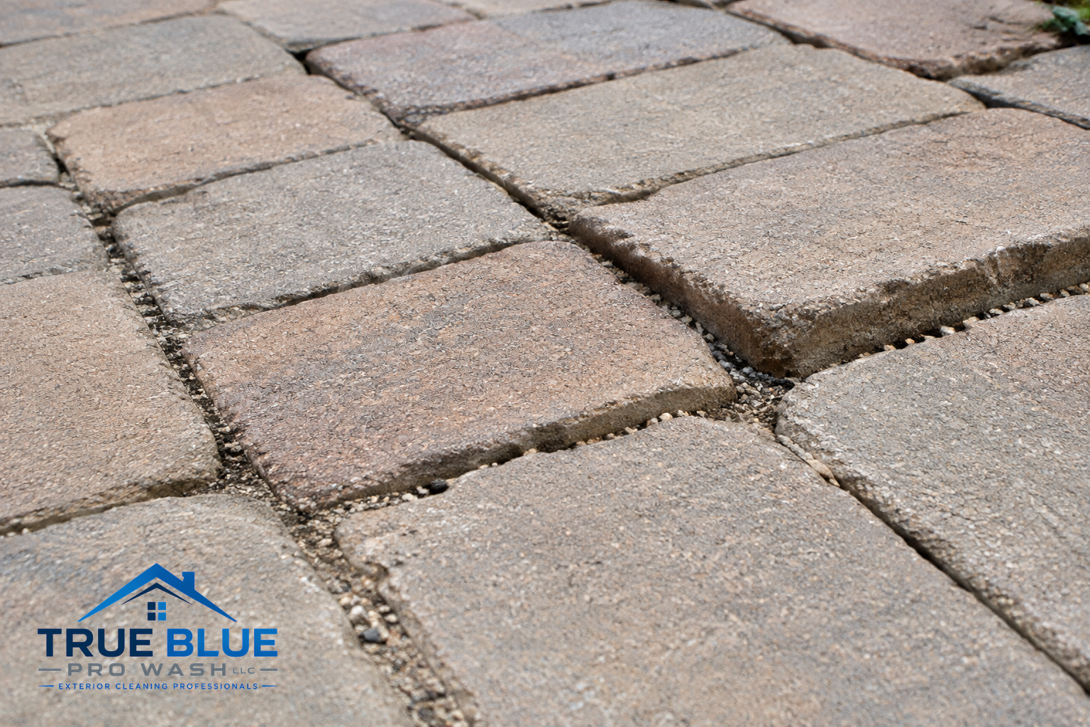 Close-up of paver stones with uneven edges and missing joint material.