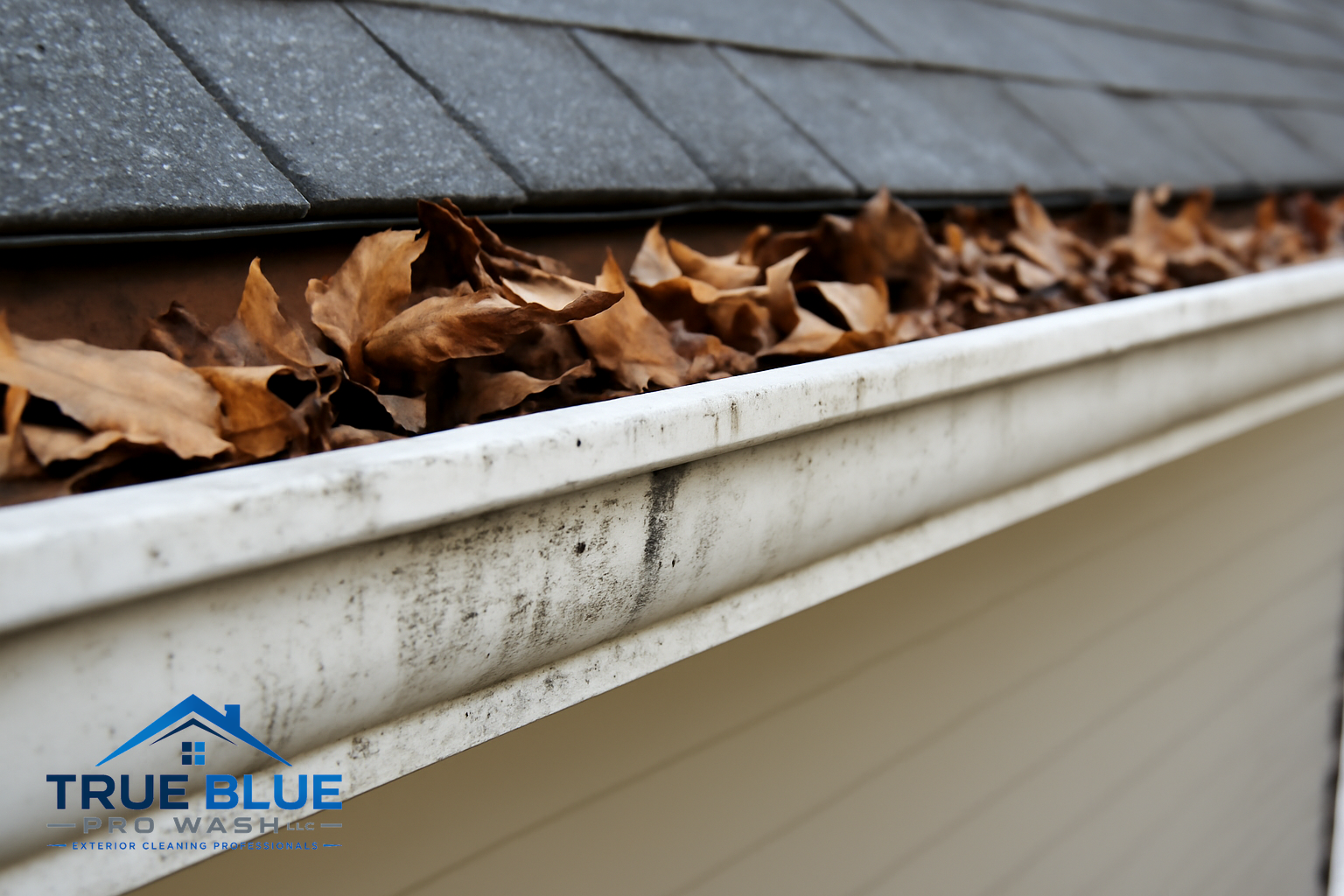 Leaves and debris inside a gutter with visible marks on the gutter's exterior face.