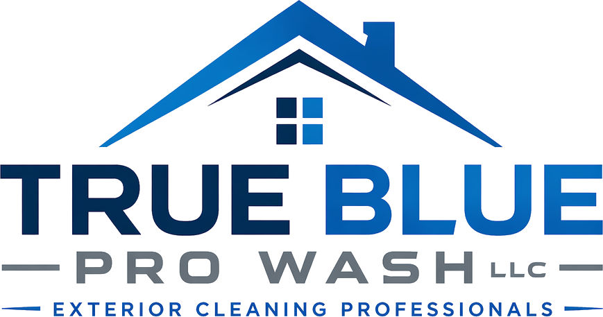 True Blue Pro Wash LLC logo