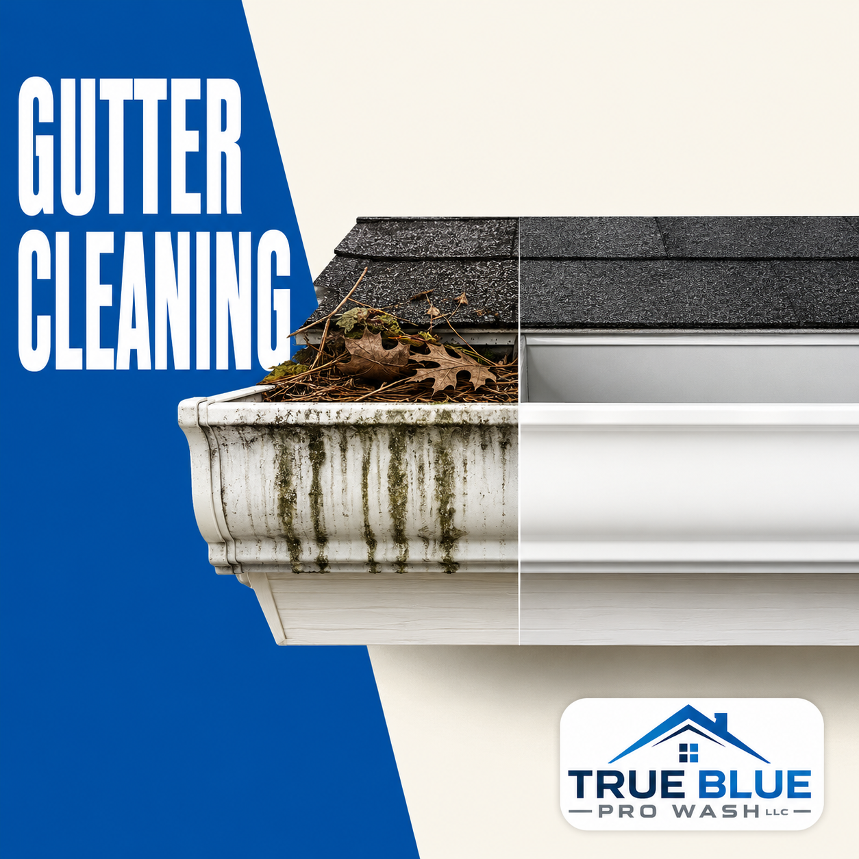 True Blue Pro Wash Gutter Cleaning in Wilmington DE
