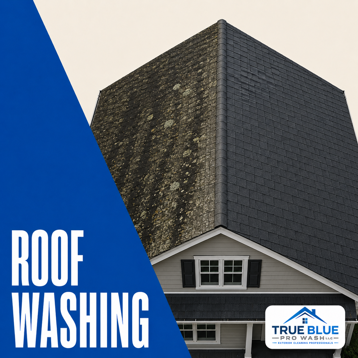 True Blue Pro Wash Roof Washing in Wilmington DE